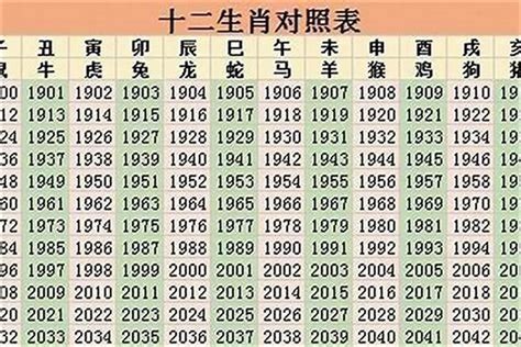 2024年什么年|2024年是属什么年 2024年是甲辰龙年